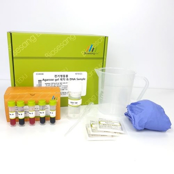 전기영동용 Agarose gel 만들기 & DNA sample
