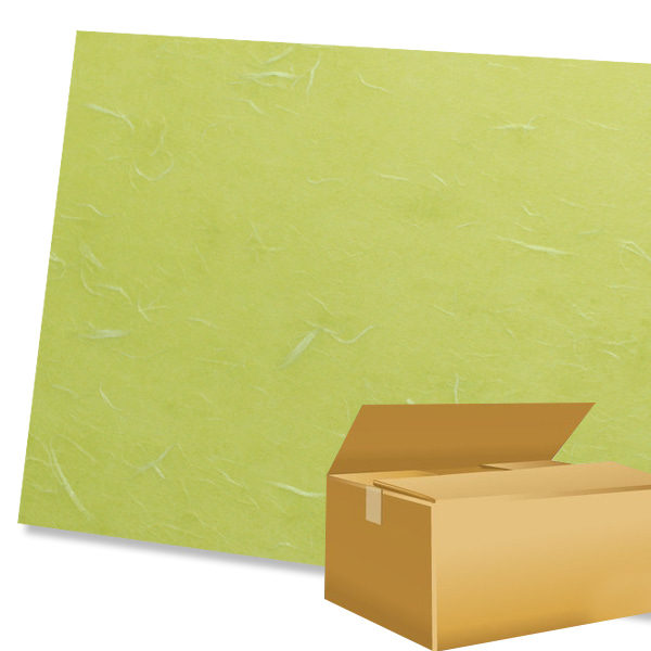 Box_대원 한지보드 5T F-146 290*440mm (100장/1box)