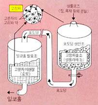 알코홀을 생산하는 생화학반응장치