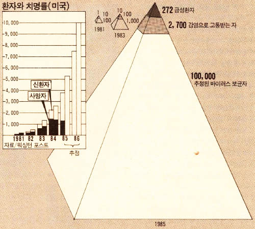 빙산처럼 AIDS는 퍼지고 있다