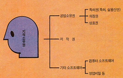 (표1) 지적 소유권의 범위