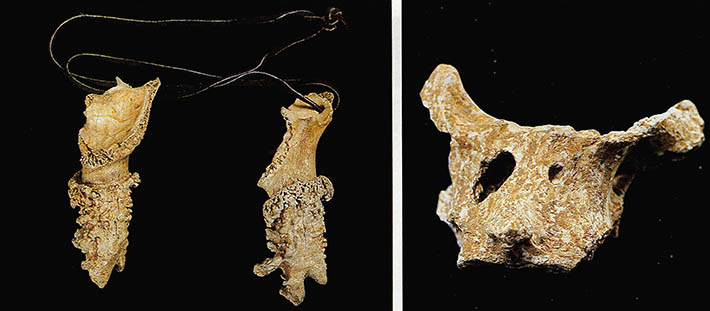 (좌)목걸이로 사용한듯한 짐승뼈 (우)장난감으로 이용한 얼굴모양의 짐승뼈