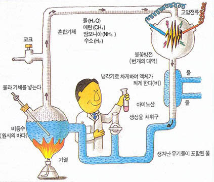 원시지구의 상황을 재현한 밀러의 실험과정이다.