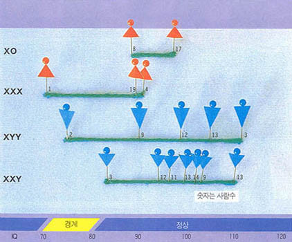 이제까지 60-70정도라고 알려진 XYY남성의 IQ는 XY남성과 차이가 없다. 그림을 보아도 IQ분포가 널리 퍼져 있음을 알수 있다.