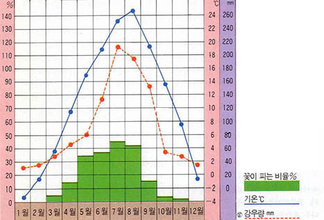 우리나라의 꽃이 피는 시기와 온도 및 강우량과의 관계