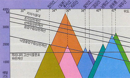 식물대의 분포와 해발고도ㆍ위도와의 관계