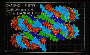 PDB 데이타를 기초로 패미컴으로 나타낸 단백질의 실체적 모델.