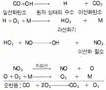 일산화질소가 충분한 경우의 반응.