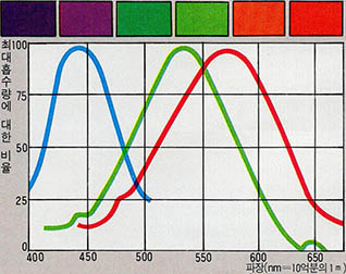 감광세포에 함유된 감광색소는 그래프에 나타난것처럼 각각 다른 파장의 빛을 가장 잘 흡수한다. 파장이 섞이는 정도에 따라 3종류의 색소가 여러가지로 활성화하여 색으로서 포착된다. 제4의 초록의 유전자를 가진 남성은 초록을 흡수하는 피크가 오른쪽으로 20나노(10의 -9승) 엇갈려 있었다.