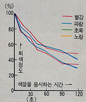 색깔별 퇴색현상