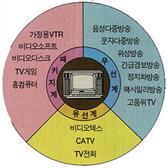 (그림 1) TV를 중심으로 한 뉴미디어