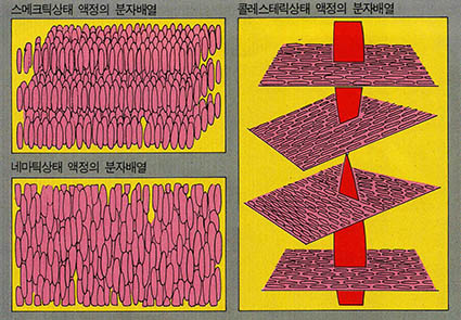 (그림1) 서모트로픽액정의 분자구조