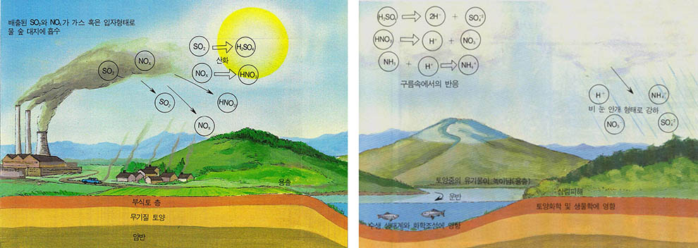 (그림1) 산성비의 순환도^배출된 S${O}_{2}$와 N${O}_{x}$가 가스 혹은 입자형태로 물 숲 대지에 흡수