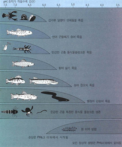 (그림2) 산성화된 담수호에서의 생물의 민감도