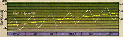 (그림2) 동북 아시아에서의 탄산가스 농도의 변화