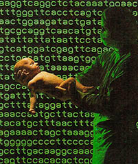 인간 유전자의 염기배열이 모두 밝혀지면 유전병을 사전에 알아낼 수 있다.