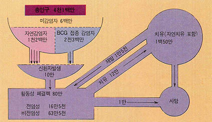 결핵환자 증감유형도(1985)