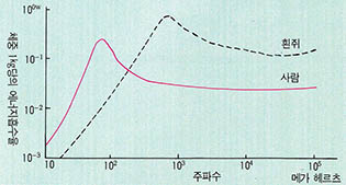 (그림3) 주파수에 따른 에너지 흡수율 변화. 사람은 70메가헤르츠 부근에, 흰쥐는 1천메가헤르츠 부근데 피크가 있다. 미국인 c.대니의 실험을 기초로 한 것.