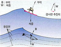 (그림4) 서핑의 원리.압력이 같은 면을 타고 돌고래도 서핑을 한다.