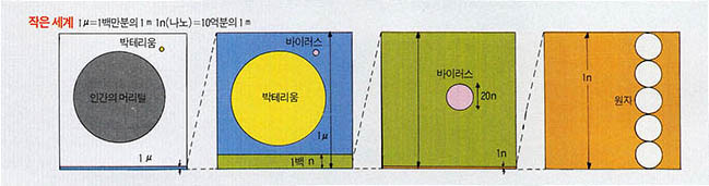 작은 세계^1μ=1백만분의 1m 1n(나노)=10억분의 1m