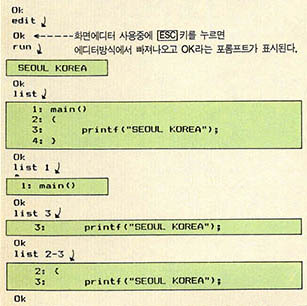 (그림 2) RUN/C Professional 인터프리터의 사용보기