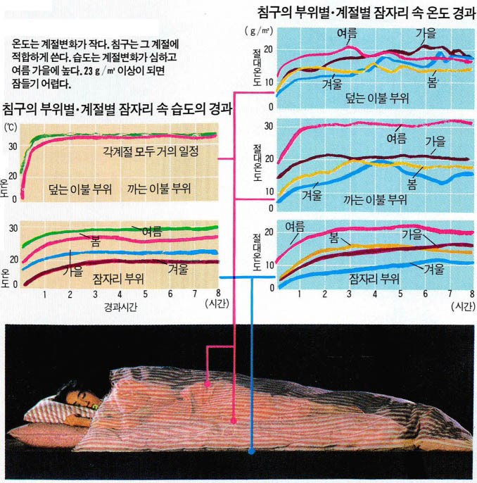 수면중의 각부의 온도·습도 변화