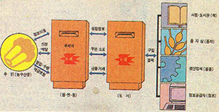 우체국 전산망 구축