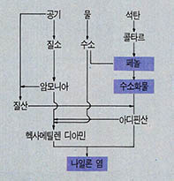 (표1) 나일론의 생성과정