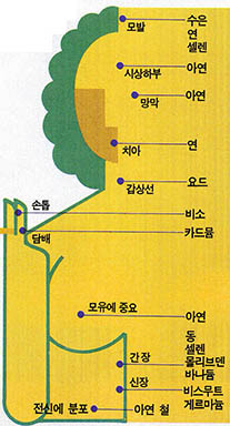 사람의 몸에 분포되어 있는 미량금속의 종류