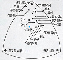 (그림2)남자 운동선수들의 종목별 평균체험