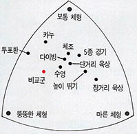 (그림3)여자운동선수들의 종목별 평균체형