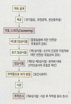 신약이 개발되는 과정