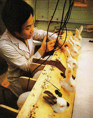 동물실험 실험동물을 다루는 실험실에서는 인수공통전염병을 특히 조심해야 한다.