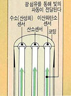 혈관에 집어 넣는 센서