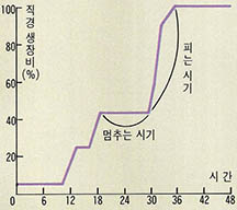 (그림3) 꽃의 개화 현상도