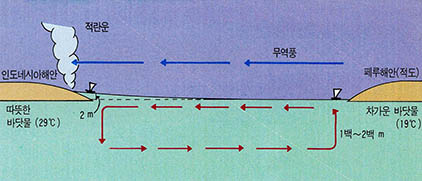 (그림 1) 무역풍에 의한 태평양의 해류흐름