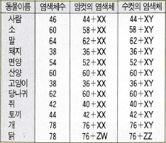 (표1) 사람과 동물의 염색체수