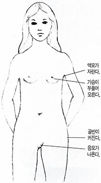 사춘기 소녀의 외형적인 변화