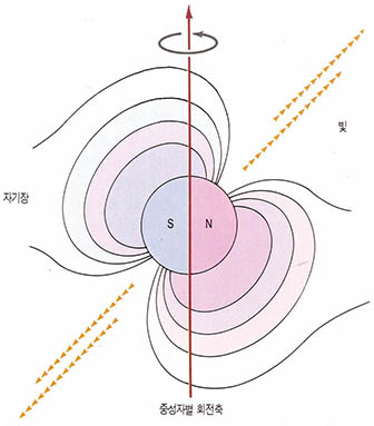 (그림 4) 펄사의 정체-강한 자기장을 가진 중성자별