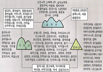 (표 2) 설악산·지리산·한라산의 고산식물 분포