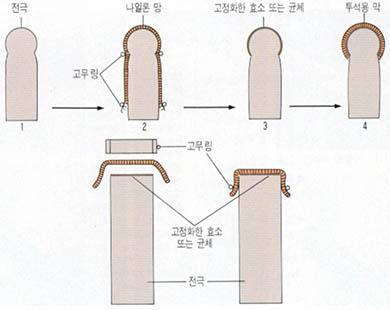 (그림 2) pH 또는 산소전극에 고정화한 효소나 균체를 이용하여 전압변환기를 만드는 방법