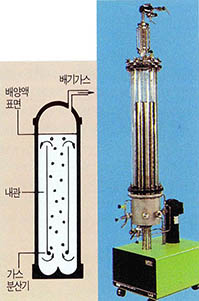 실험실 규모로 설계 제작된 기거식 반응기