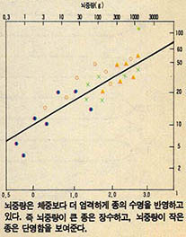 (그림 2) 수명과 뇌중량