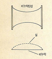 비누막 탄생 실험