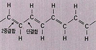 (그림 2) 폴리아세틸렌의 분자구조(공액이중결합)
