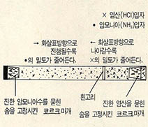 분자량과 확산속도 정답 해설