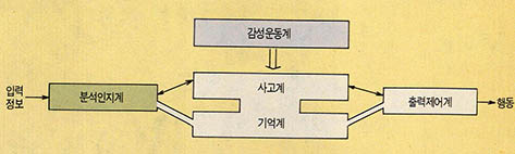 (그림3)뇌의 정보처리 가상모델