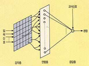 (그림6)퍼셉트론