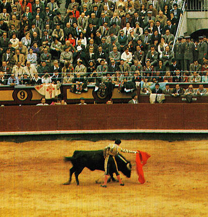 투우사가 물레타(붉은 천)를 가지고 소와 겨루고 있다. 마드리드의 라스벤타스 투우장
