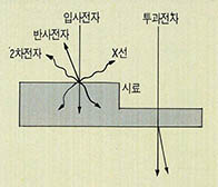 전자현미경과 전자